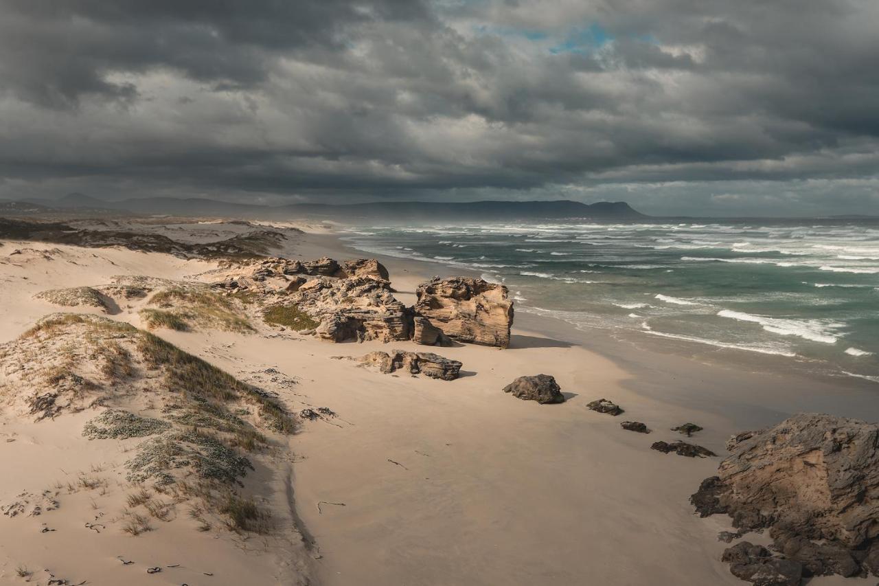 Walker Bay Manor Mansion Hotel Hermanus Bagian luar foto